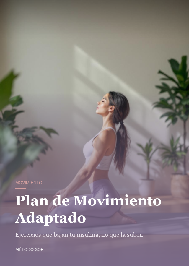 Plan de Movimiento